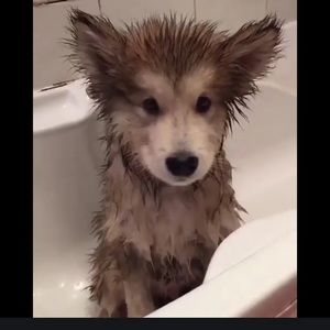 Meet your Posher, Bianca